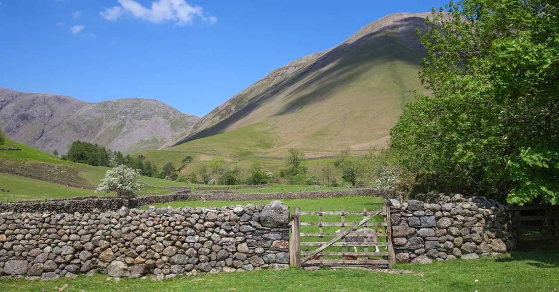 dry-stone-wall-landscape (1)
